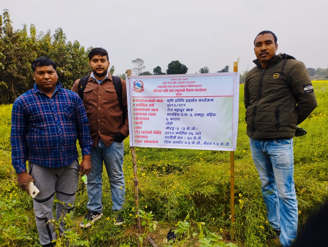 Rape seed highest yield